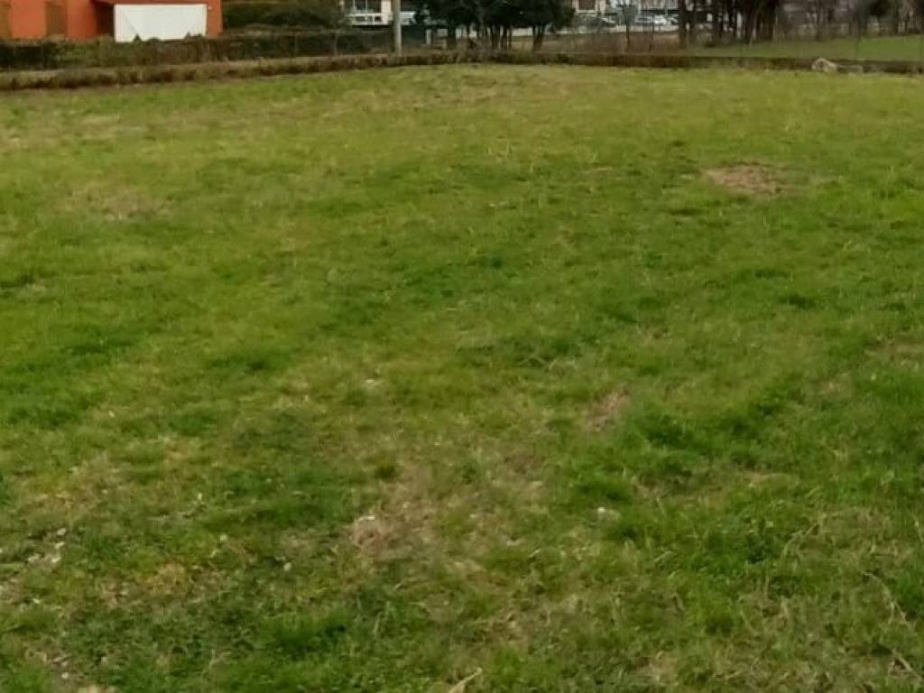 immagine annuncio 1 di 2