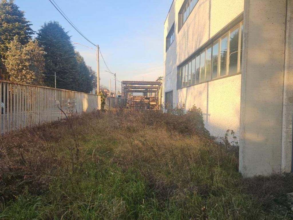 immagine annuncio 3 di 5