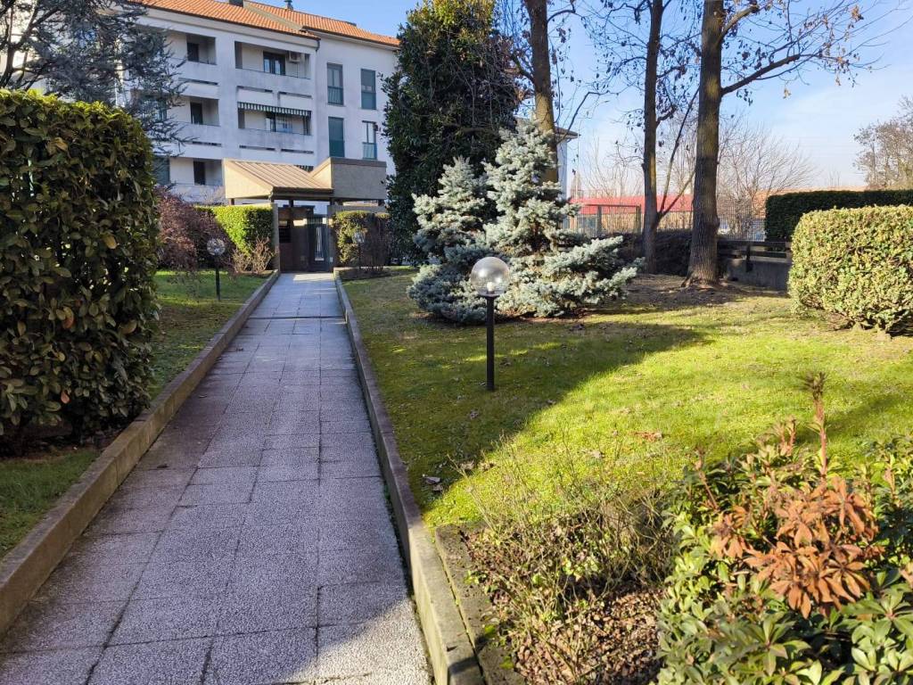 immagine annuncio 2 di 5