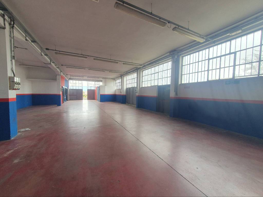 immagine annuncio 3 di 5