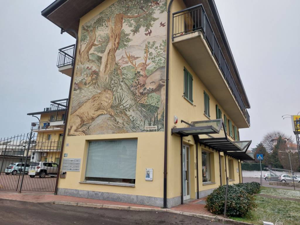 immagine annuncio 3 di 5