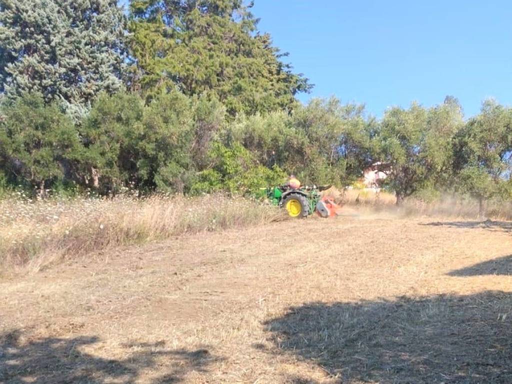 immagine annuncio 2 di 4