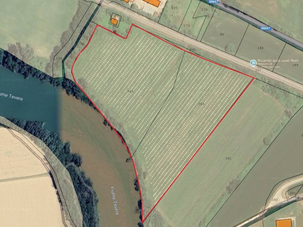 immagine annuncio 1 di 3