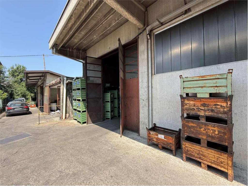 immagine annuncio 3 di 5