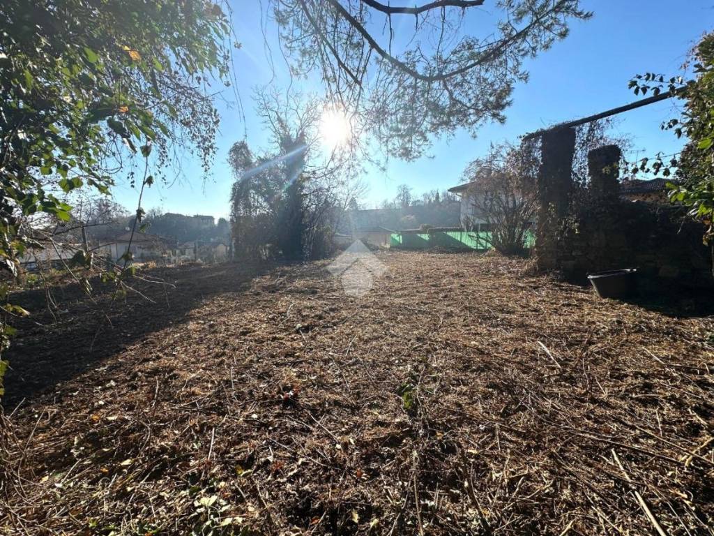 immagine annuncio 3 di 4