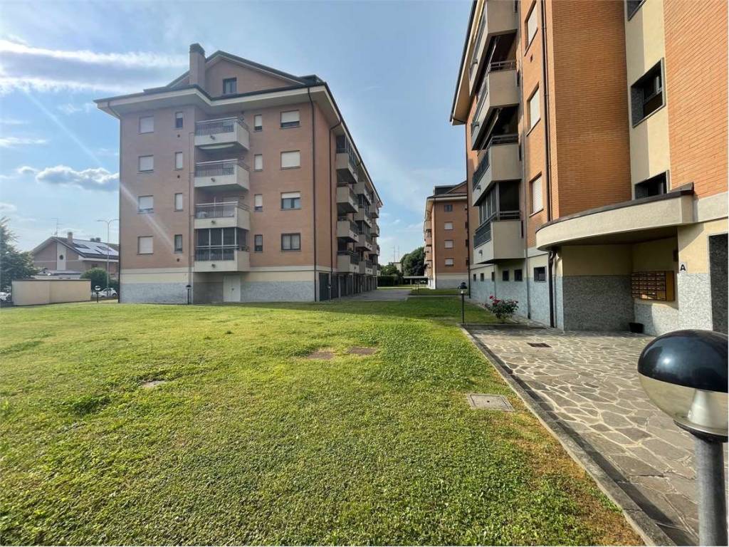 immagine annuncio 3 di 5