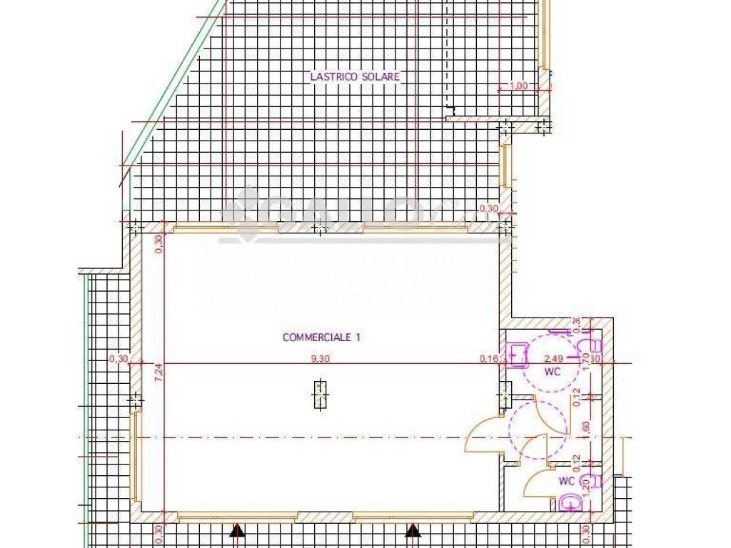 immagine annuncio 2 di 3