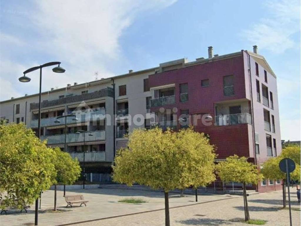 immagine annuncio 2 di 5