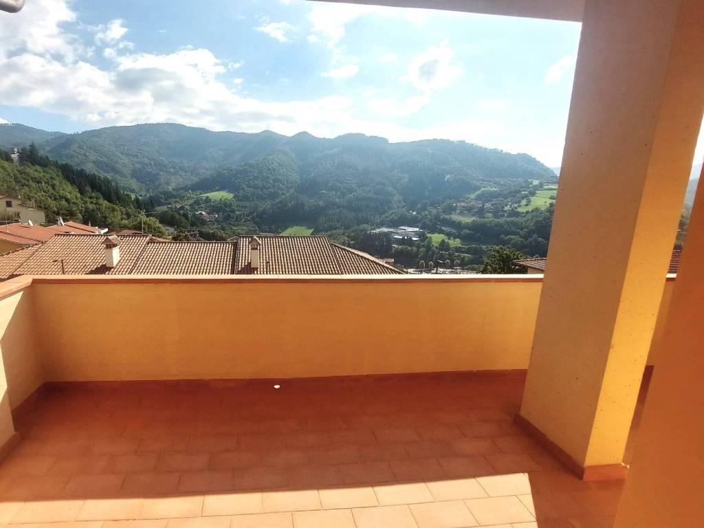 immagine annuncio 0 di 15