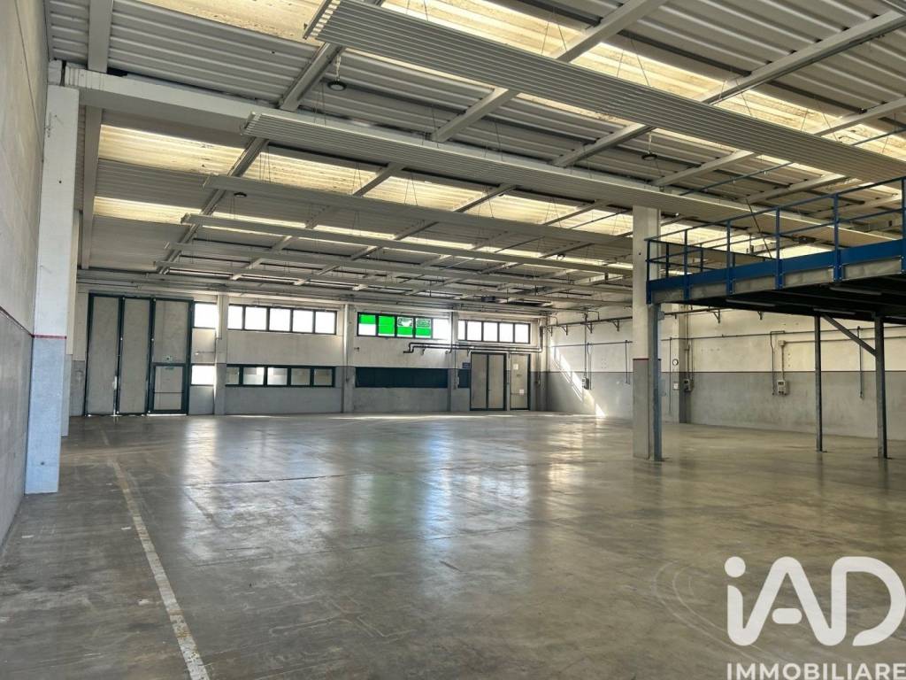 immagine annuncio 1 di 5