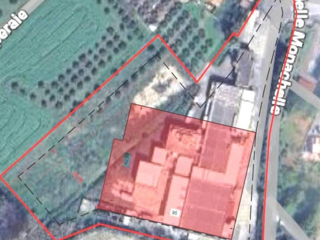 immagine annuncio 1 di 2