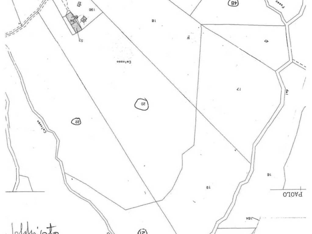 immagine annuncio 1 di 2