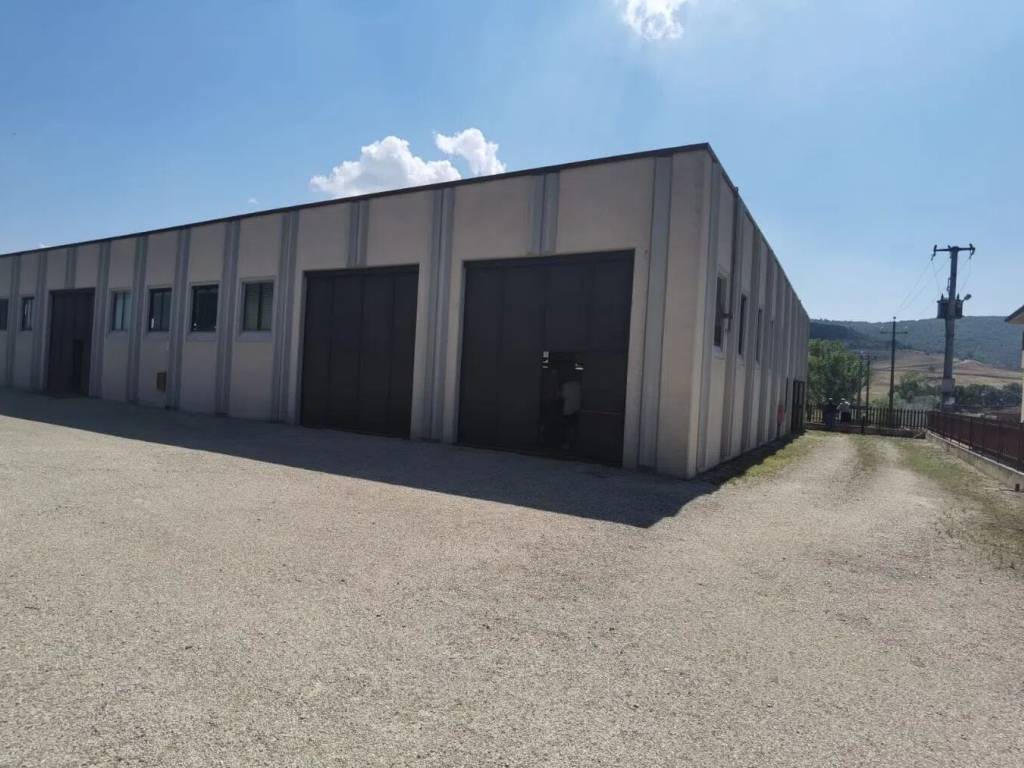 immagine annuncio 2 di 5