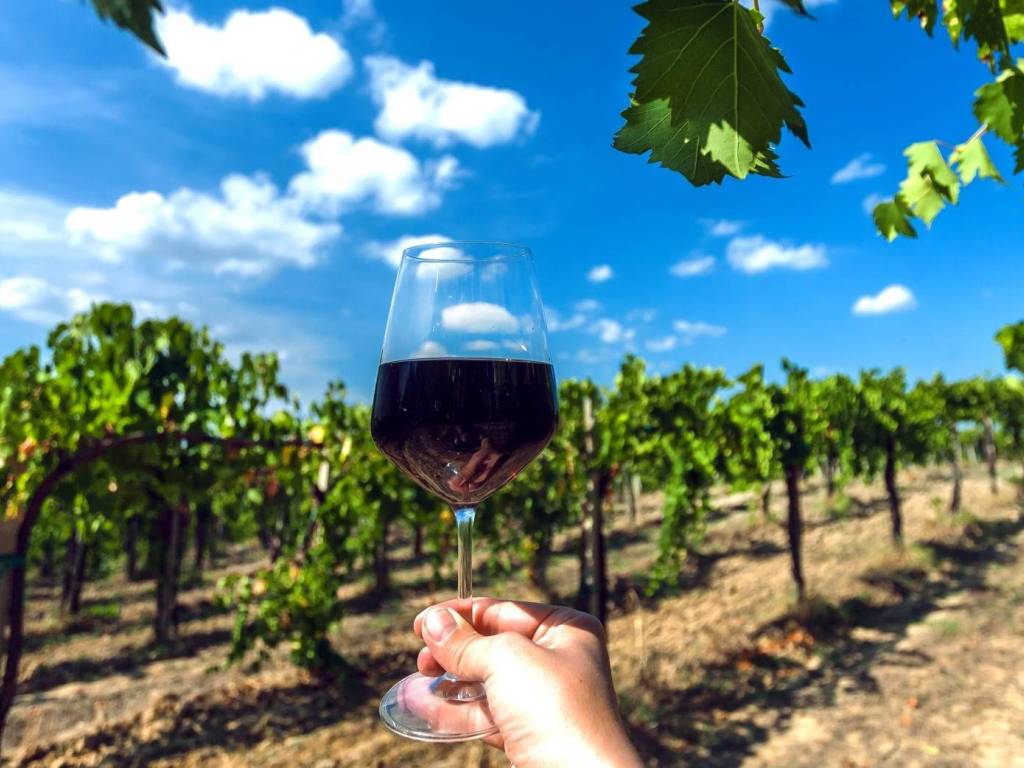 immagine annuncio 1 di 5