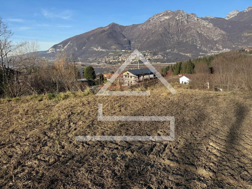 immagine annuncio 2 di 4