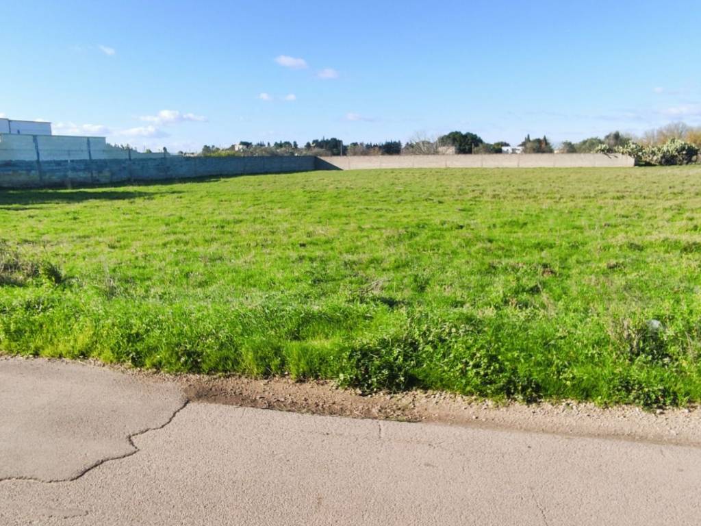 immagine annuncio 1 di 4