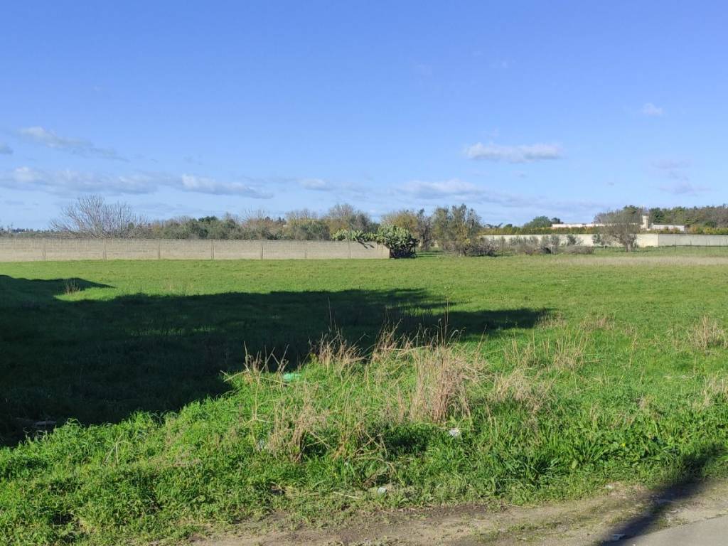 immagine annuncio 3 di 4