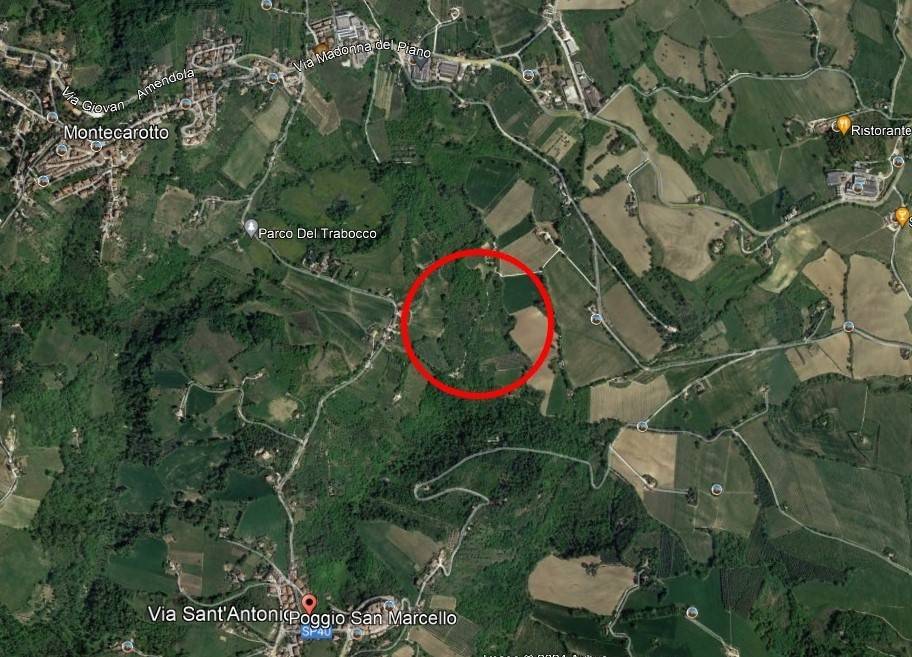 immagine annuncio 1 di 2