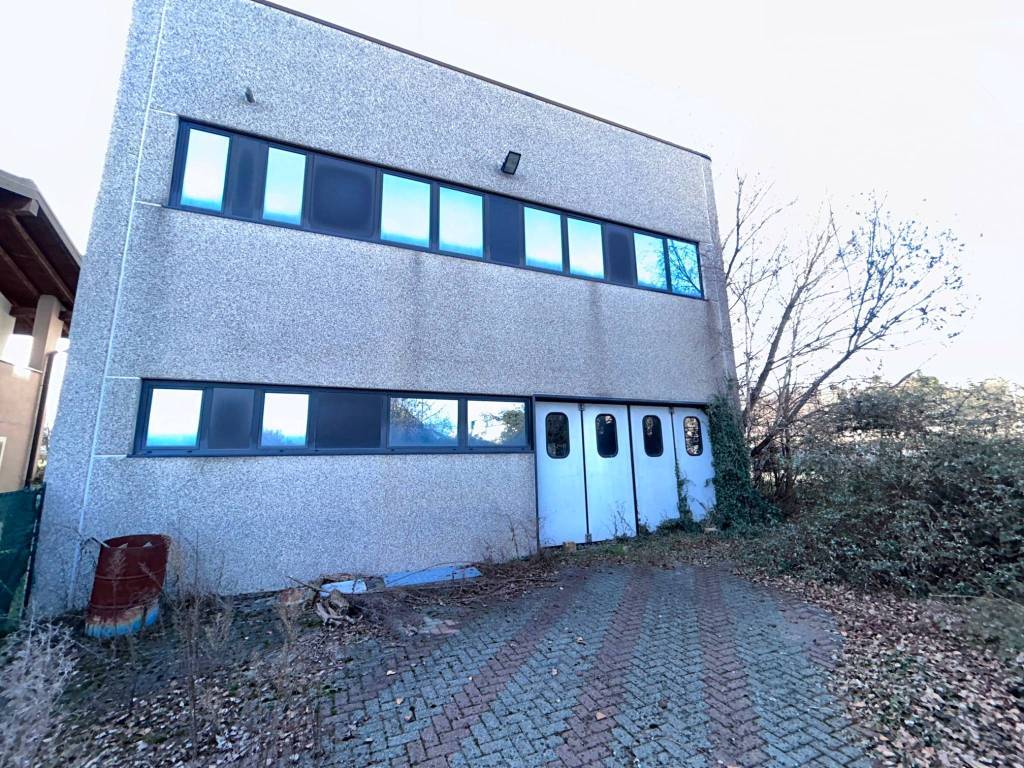 immagine annuncio 2 di 5