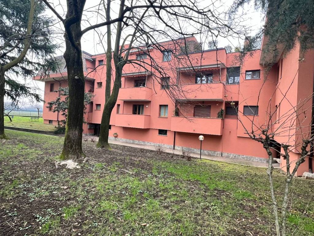 immagine annuncio 2 di 5