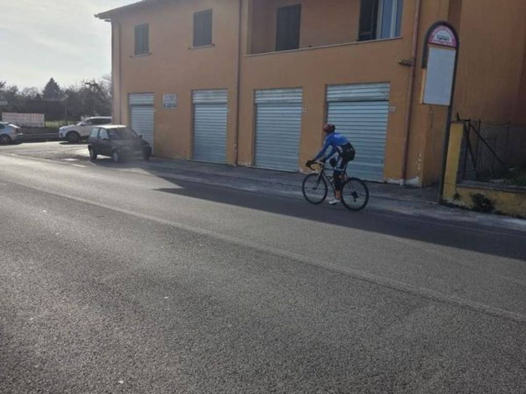 immagine annuncio 2 di 4