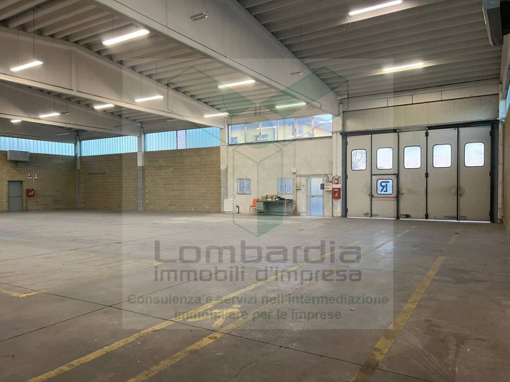 immagine annuncio 2 di 5