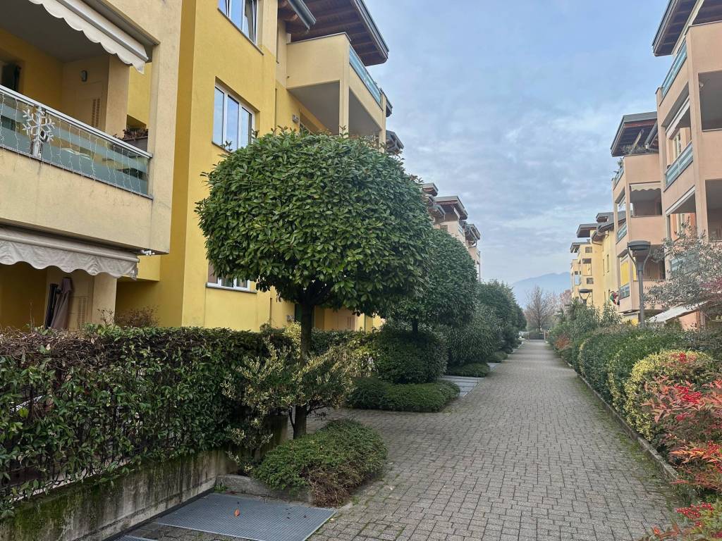 immagine annuncio 4 di 5