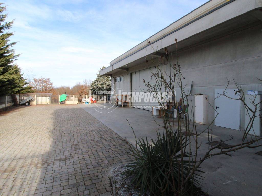 immagine annuncio 3 di 5