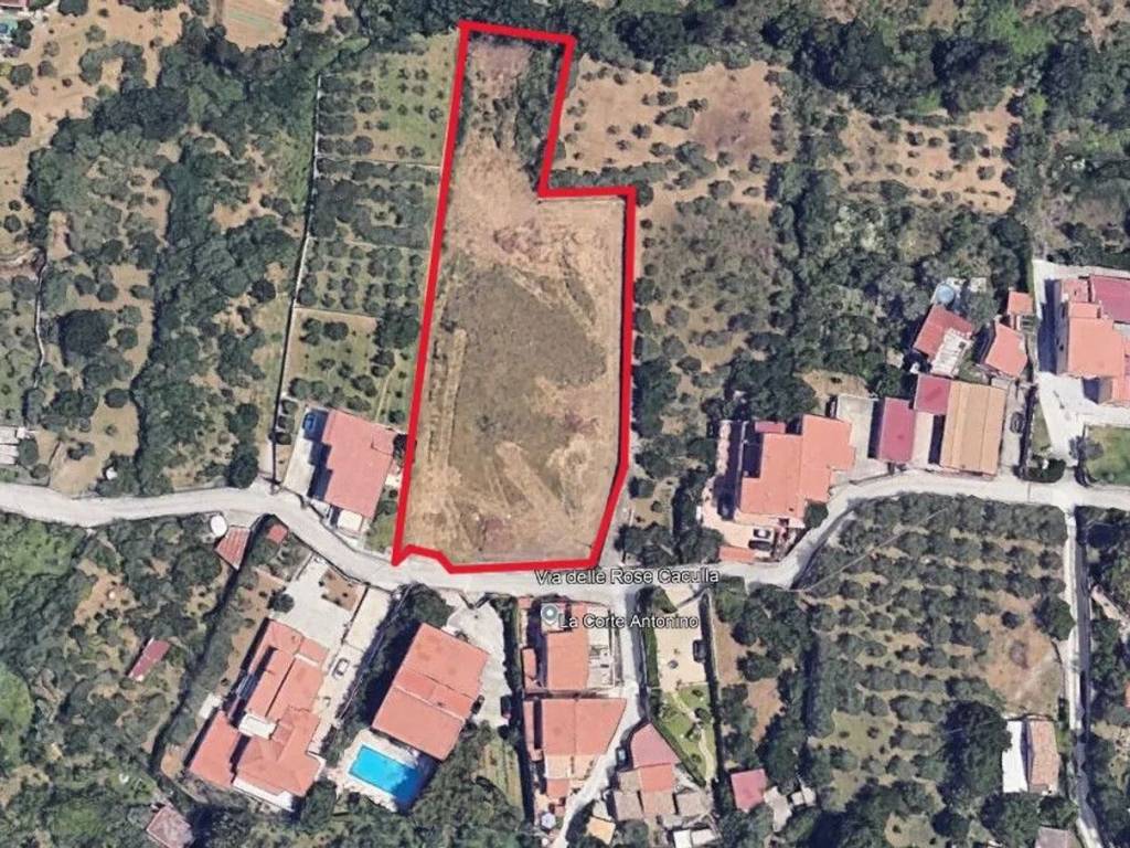 immagine annuncio 1 di 3