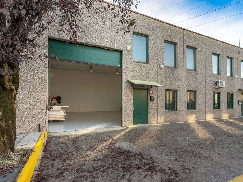 immagine annuncio 2 di 5