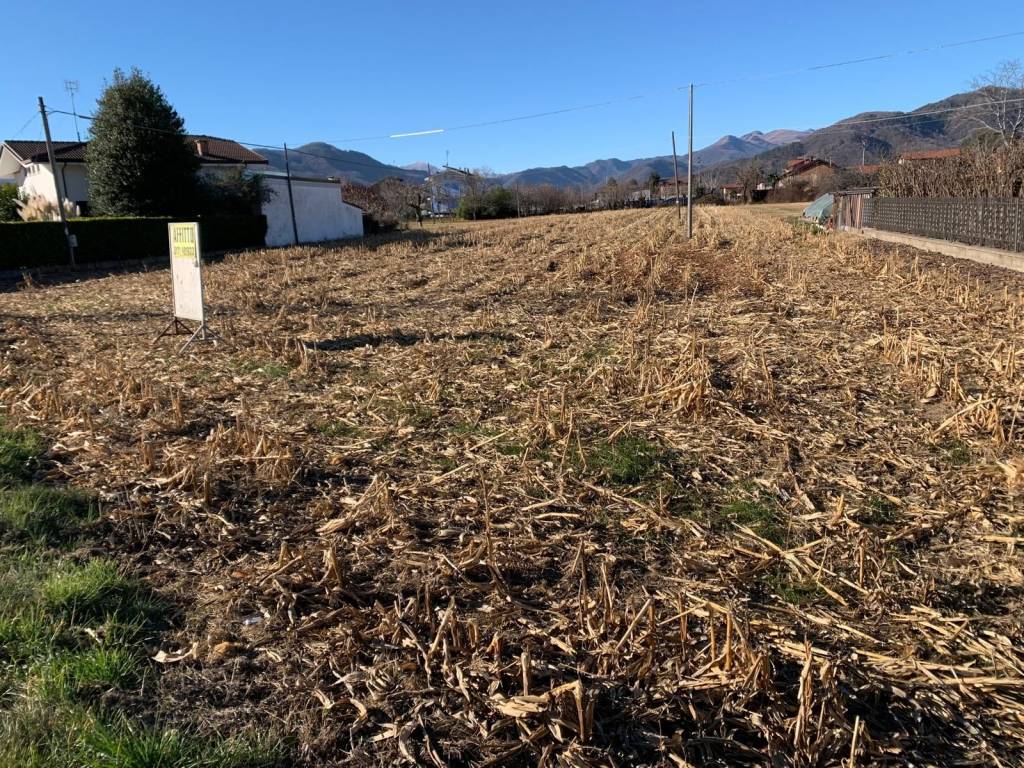 immagine annuncio 1 di 3