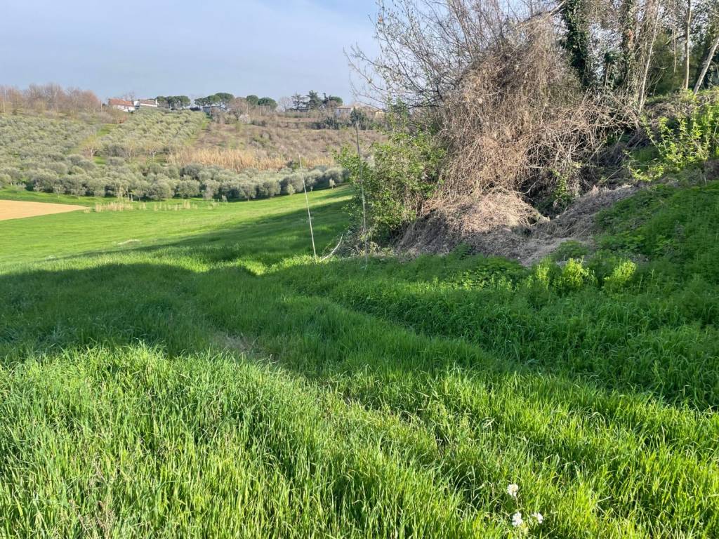 immagine annuncio 3 di 4