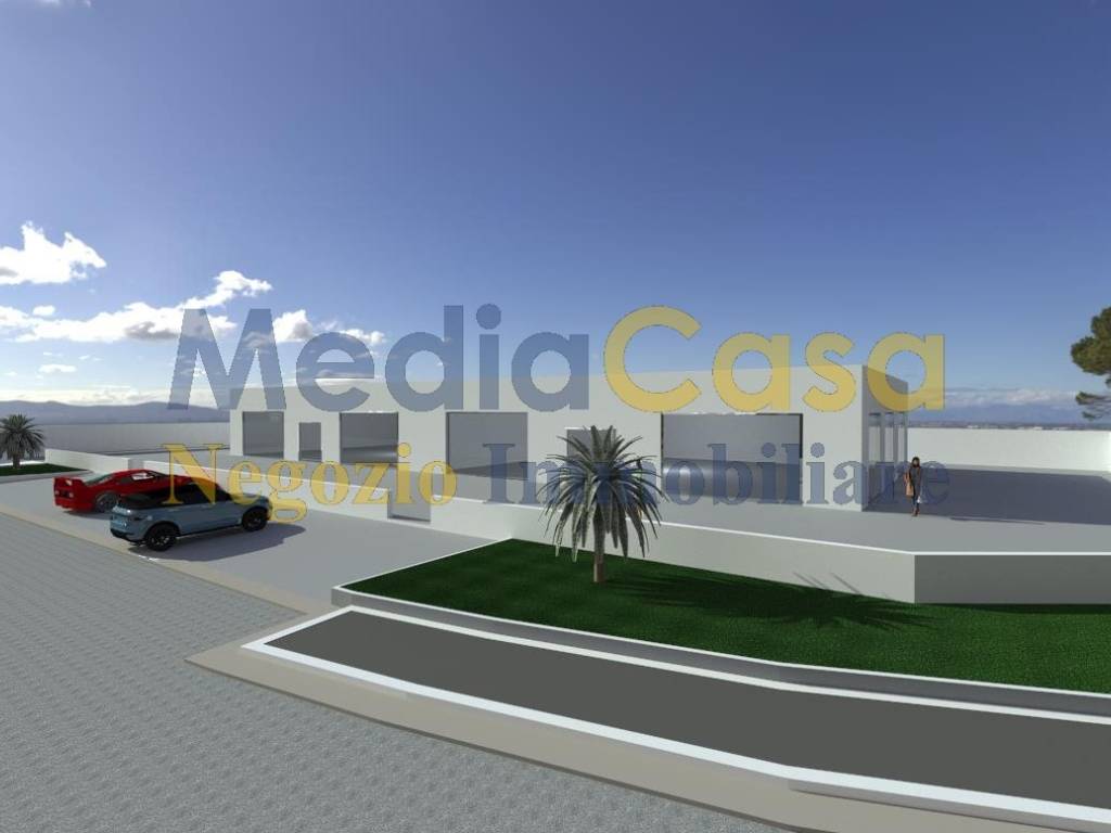 immagine annuncio 1 di 5