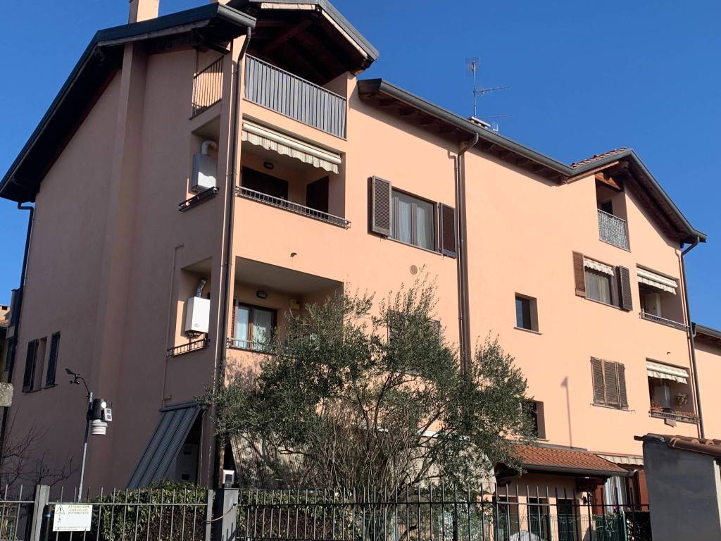 immagine annuncio 2 di 5