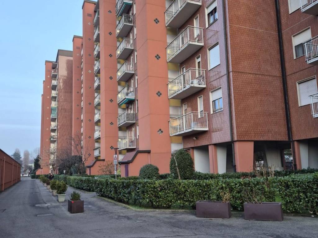 immagine annuncio 2 di 5