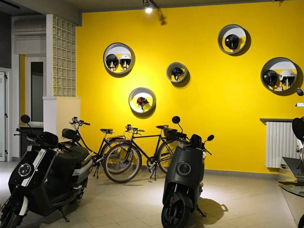 immagine annuncio 2 di 5