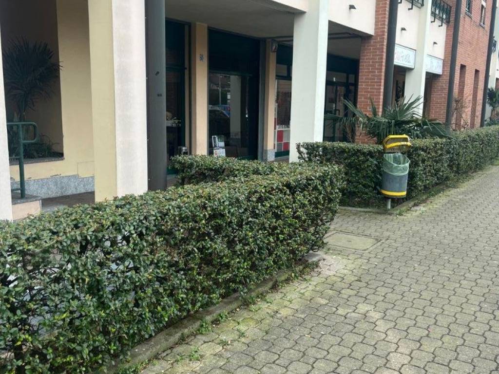 immagine annuncio 1 di 3