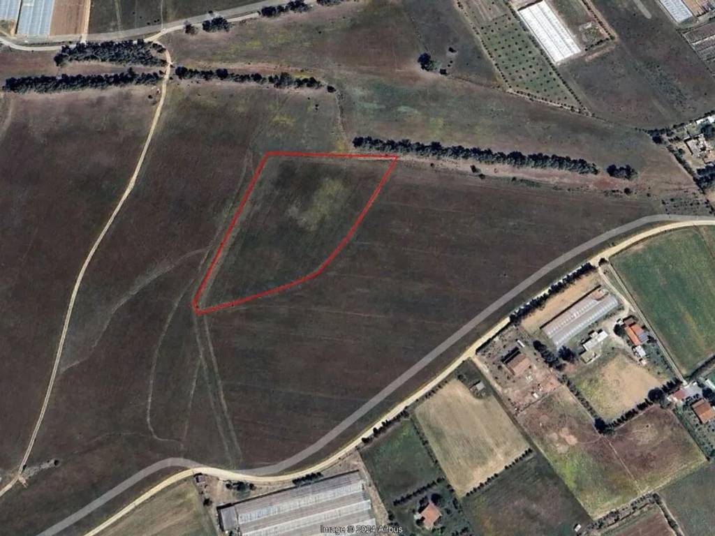 immagine annuncio 1 di 2