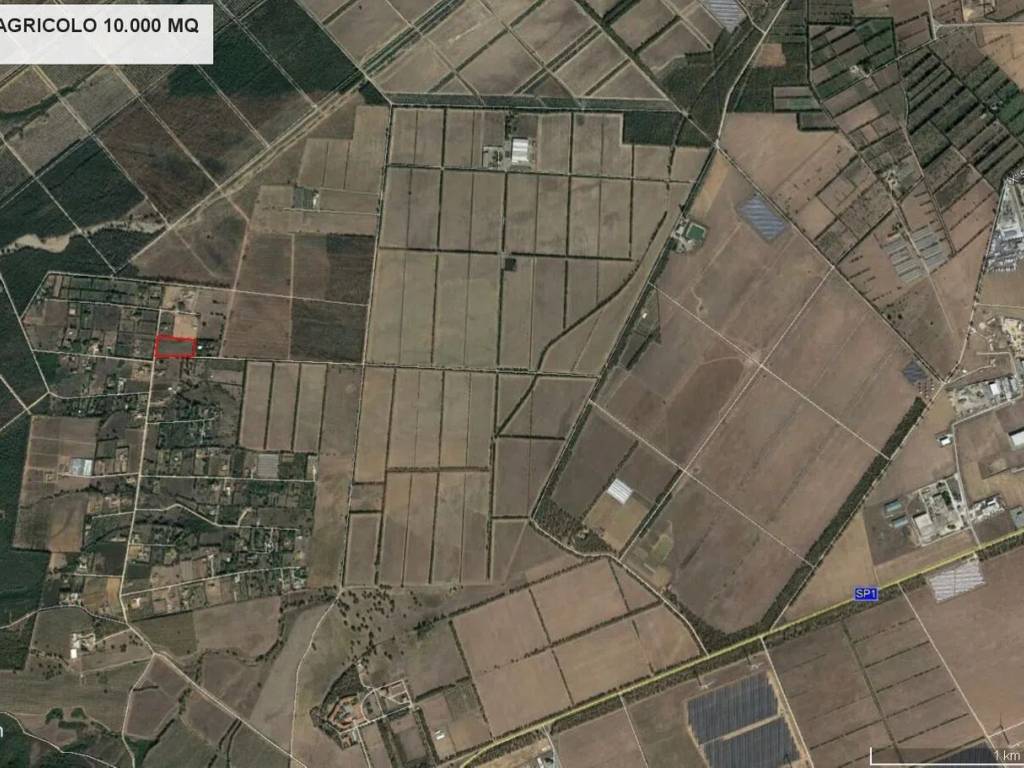 immagine annuncio 2 di 4