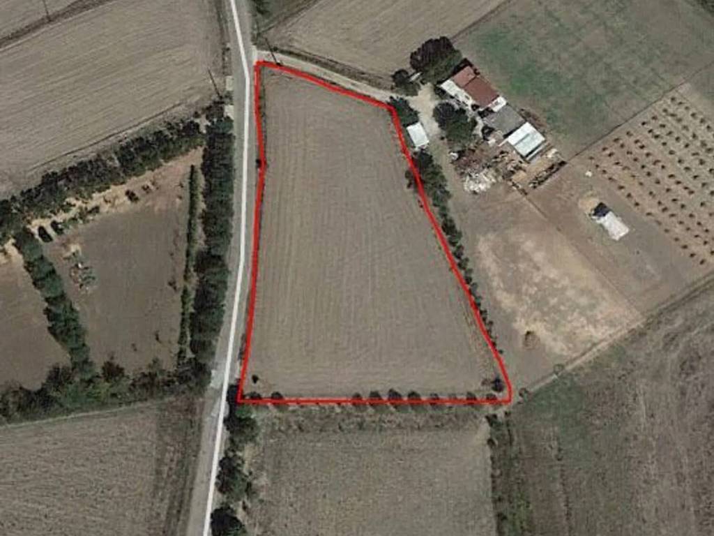 immagine annuncio 1 di 2