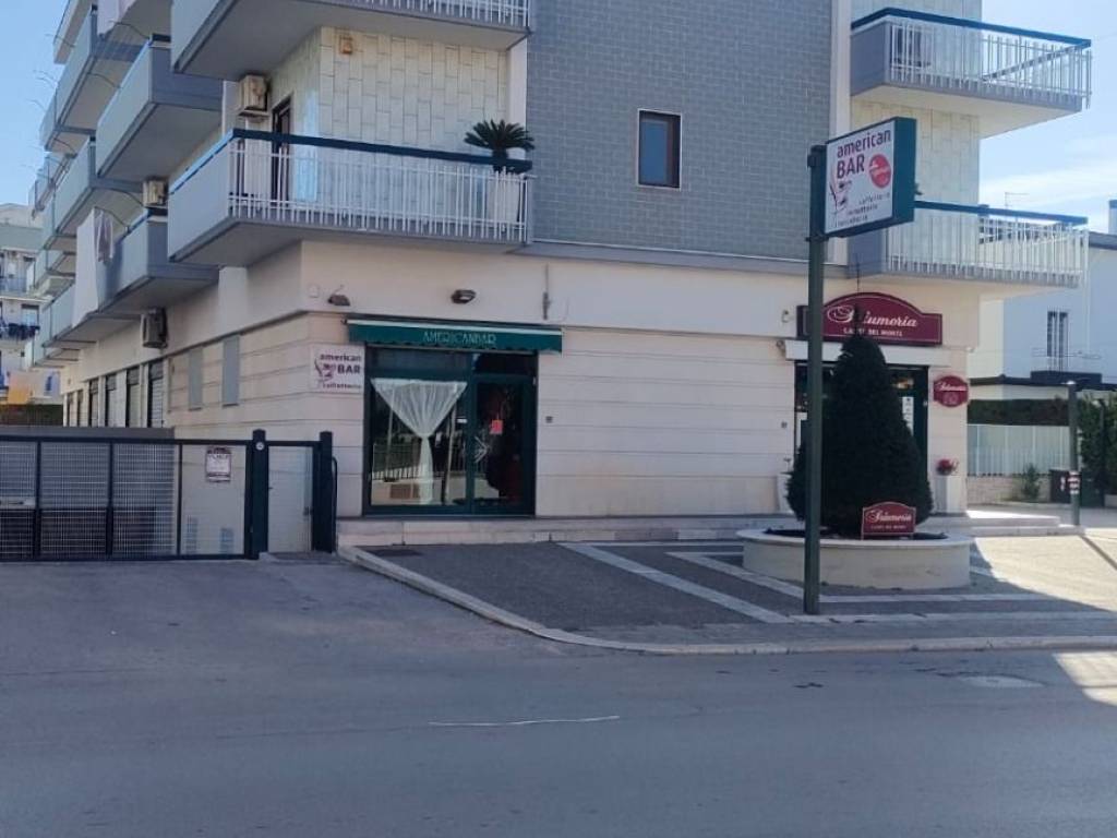 immagine annuncio 0 di 1