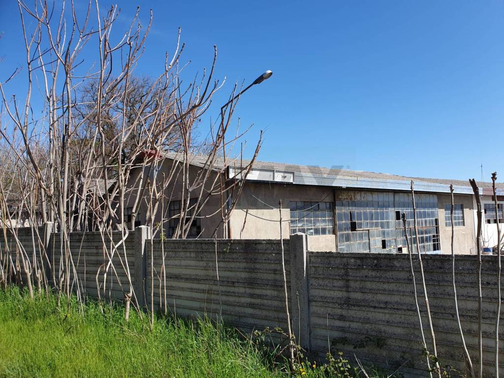 immagine annuncio 1 di 5