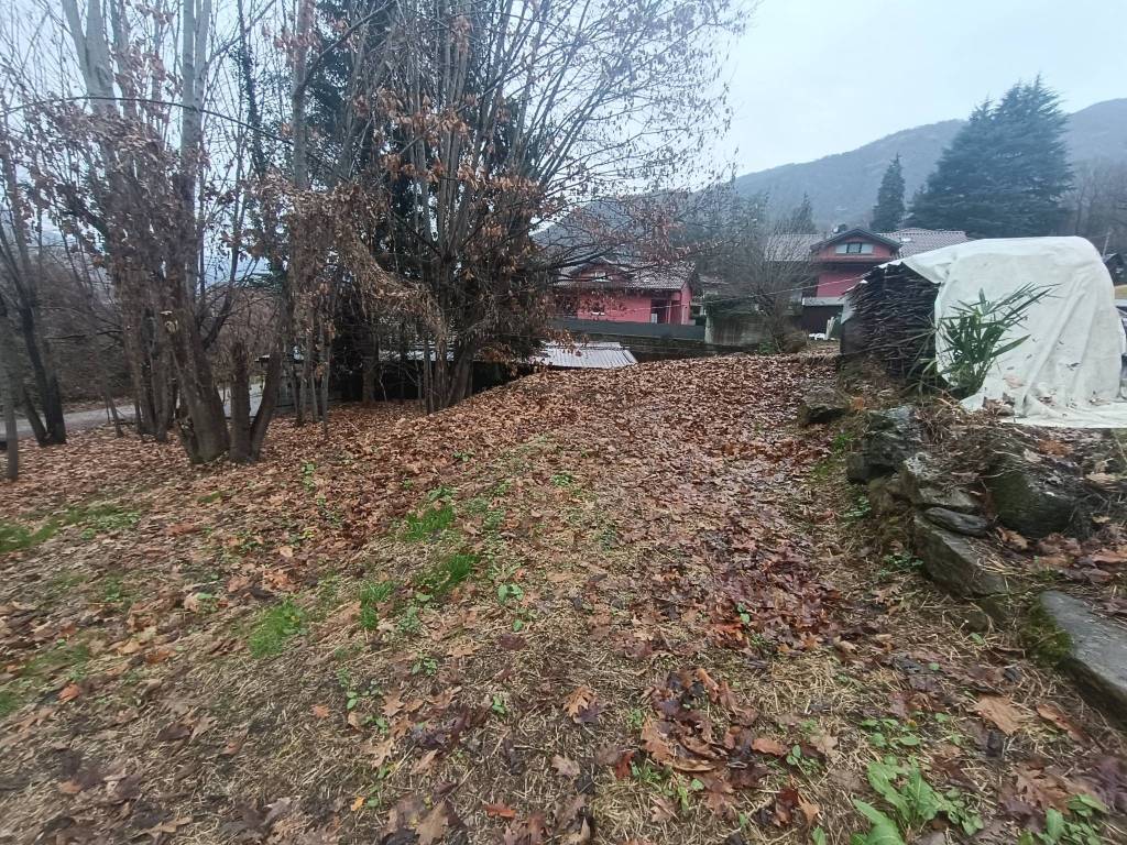 immagine annuncio 1 di 4