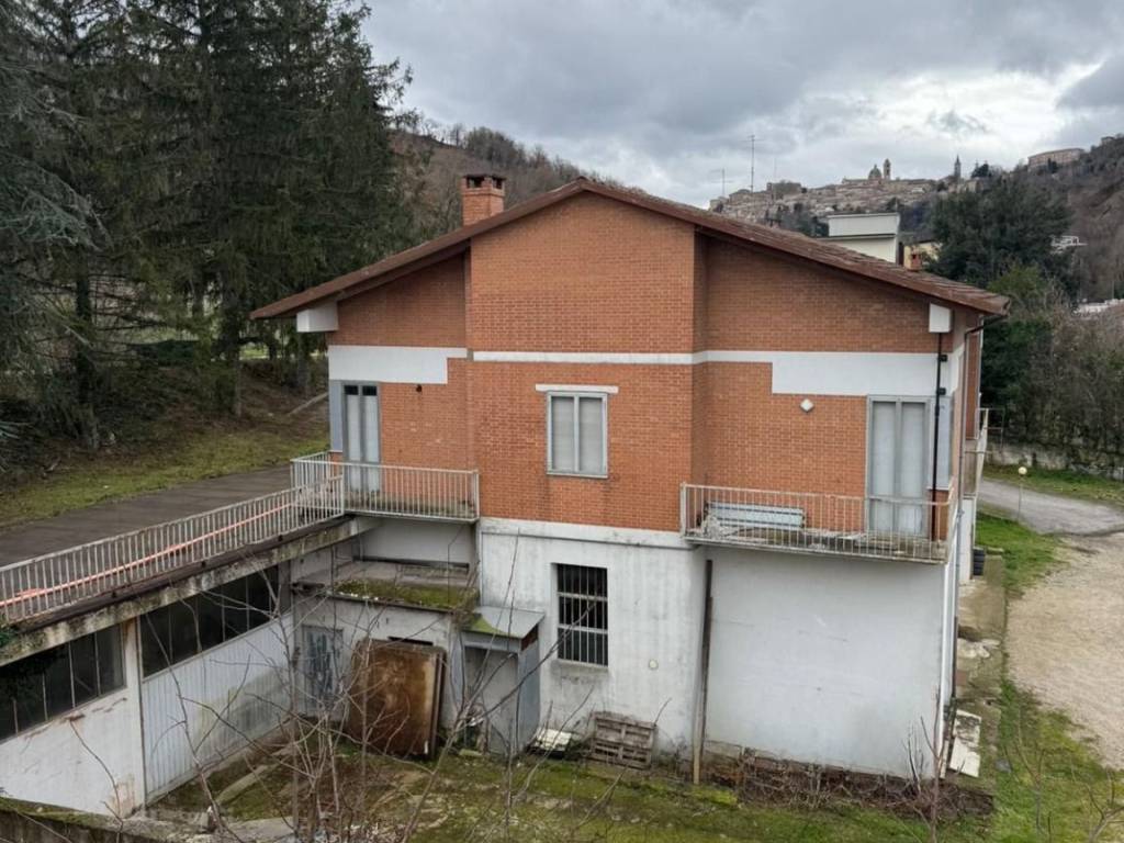 immagine annuncio 1 di 3