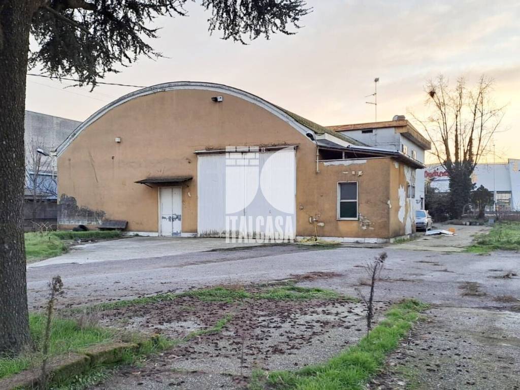 immagine annuncio 3 di 5