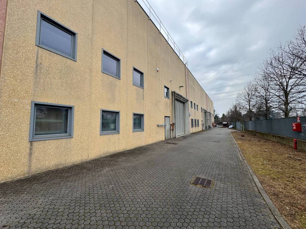 immagine annuncio 2 di 5