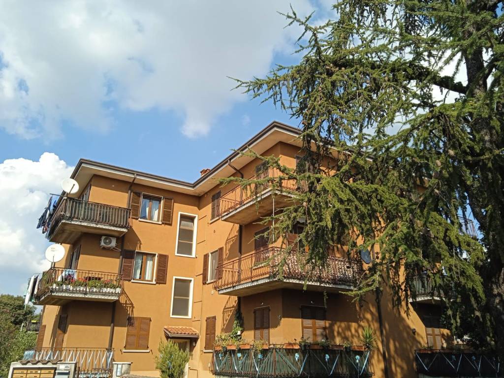 immagine annuncio 1 di 2