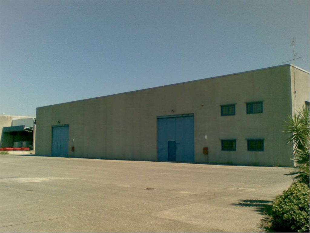 immagine annuncio 2 di 4