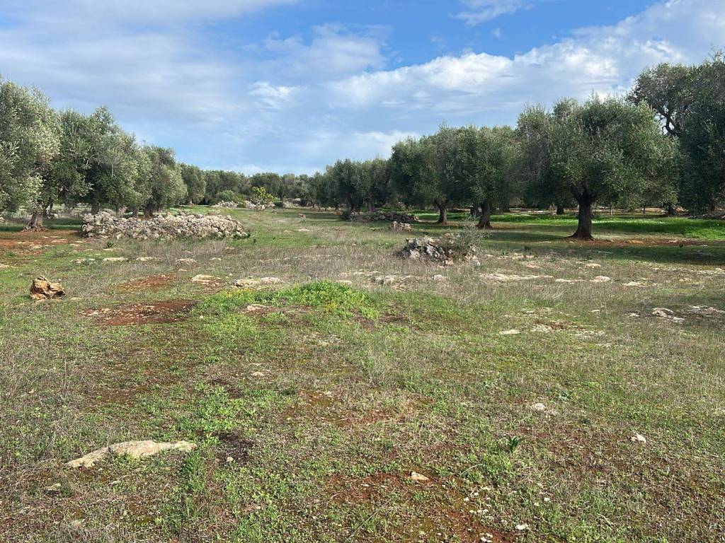 immagine annuncio 3 di 4