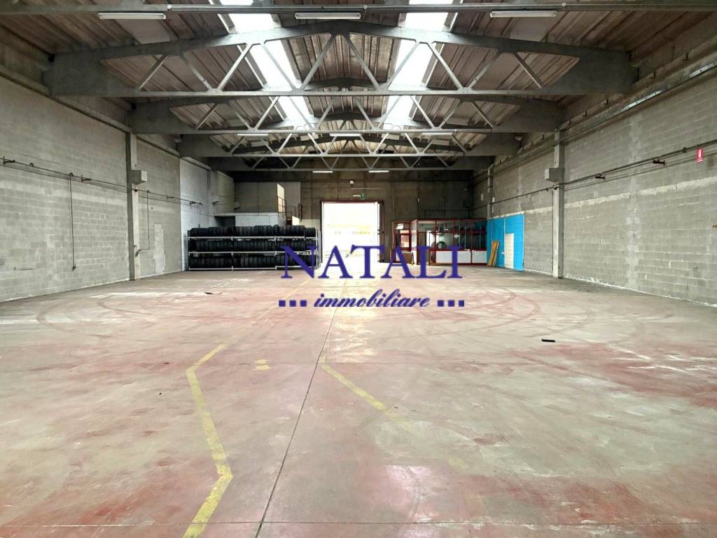 immagine annuncio 4 di 5